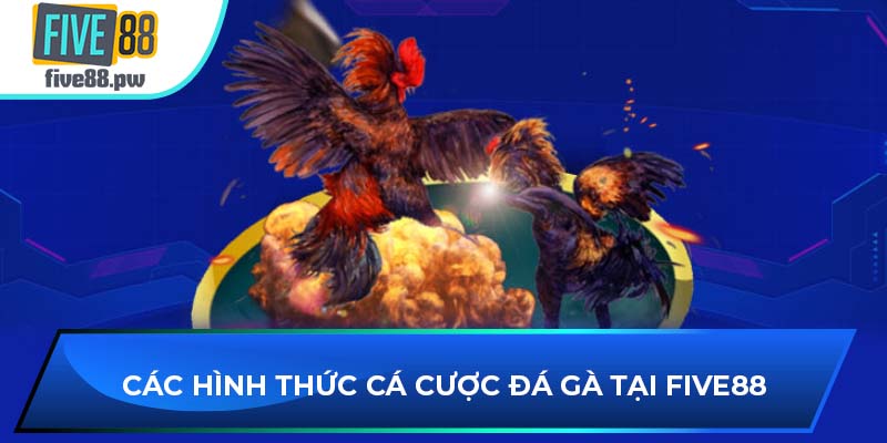 Các hình thức cá cược đá gà tại sảnh game