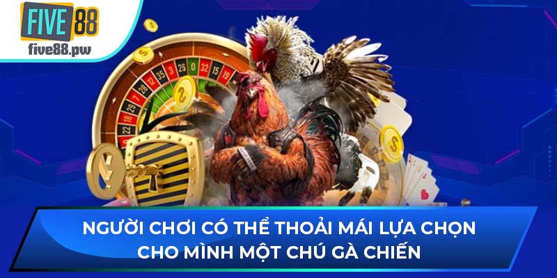 Người chơi có thể thoải mái lựa chọn cho mình một chú gà chiến