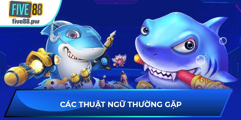 Các thuật ngữ thường gặp